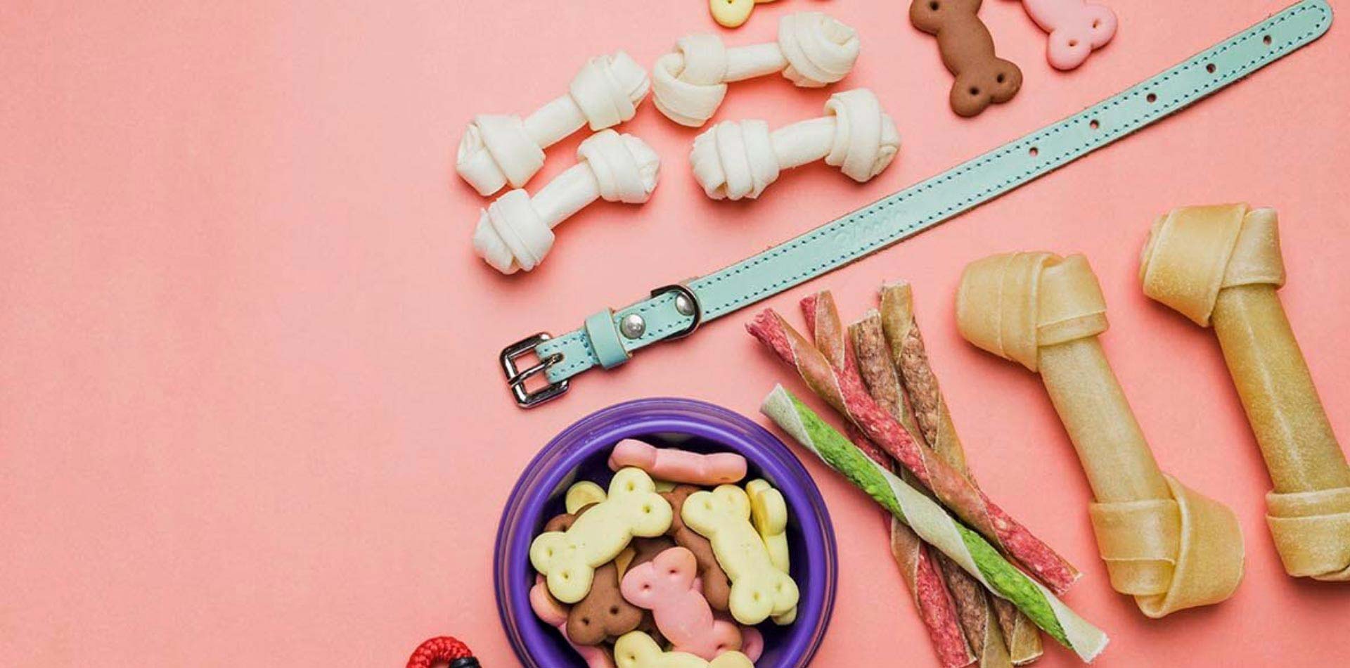 Procurando por lojas de artigos para pet?